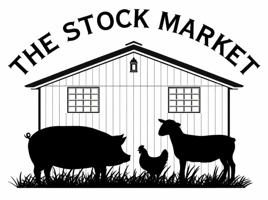 THE STOCK MARKET.jpg